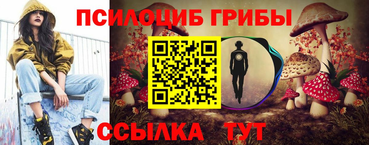 Кострома  Псилоцибиновые грибы мицелий  Вход с VPN 