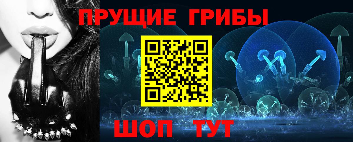 Псилоцибиновые грибы Psilocybine cubensis Кострома